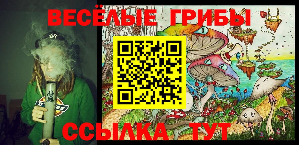 Боровичи  Галлюциногенные грибы прущие грибы  Вход с VPN 